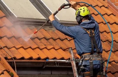 Démoussage et hydrofuge de toiture à Illiat